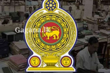 රජයෙන් 2100කට නව පත්වීම් - රටටම බලා හිටිය ඒ සුබ පණිවිඩය මෙන්න..(PHOTOS)