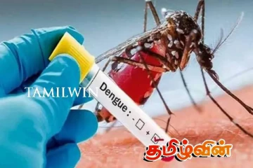 மலேரியா தொடர்பில் வெளியிடப்பட்டுள்ள தகவல்கள்