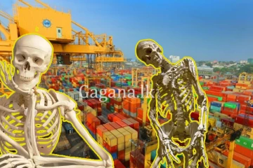 කොළඹ වරායෙන් හමුවූ මිනිස් ඇටකටු ගොඩ ගැනීම අද. - අධිකරණ නියෝගය මෙන්න.