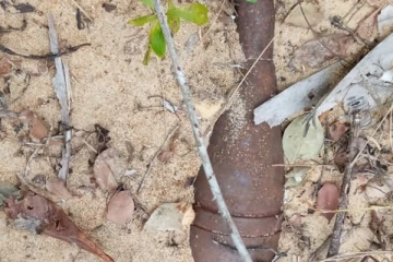 யாழில் வெடிக்காத நிலையில் காணப்பட்ட மோட்டார் குண்டு