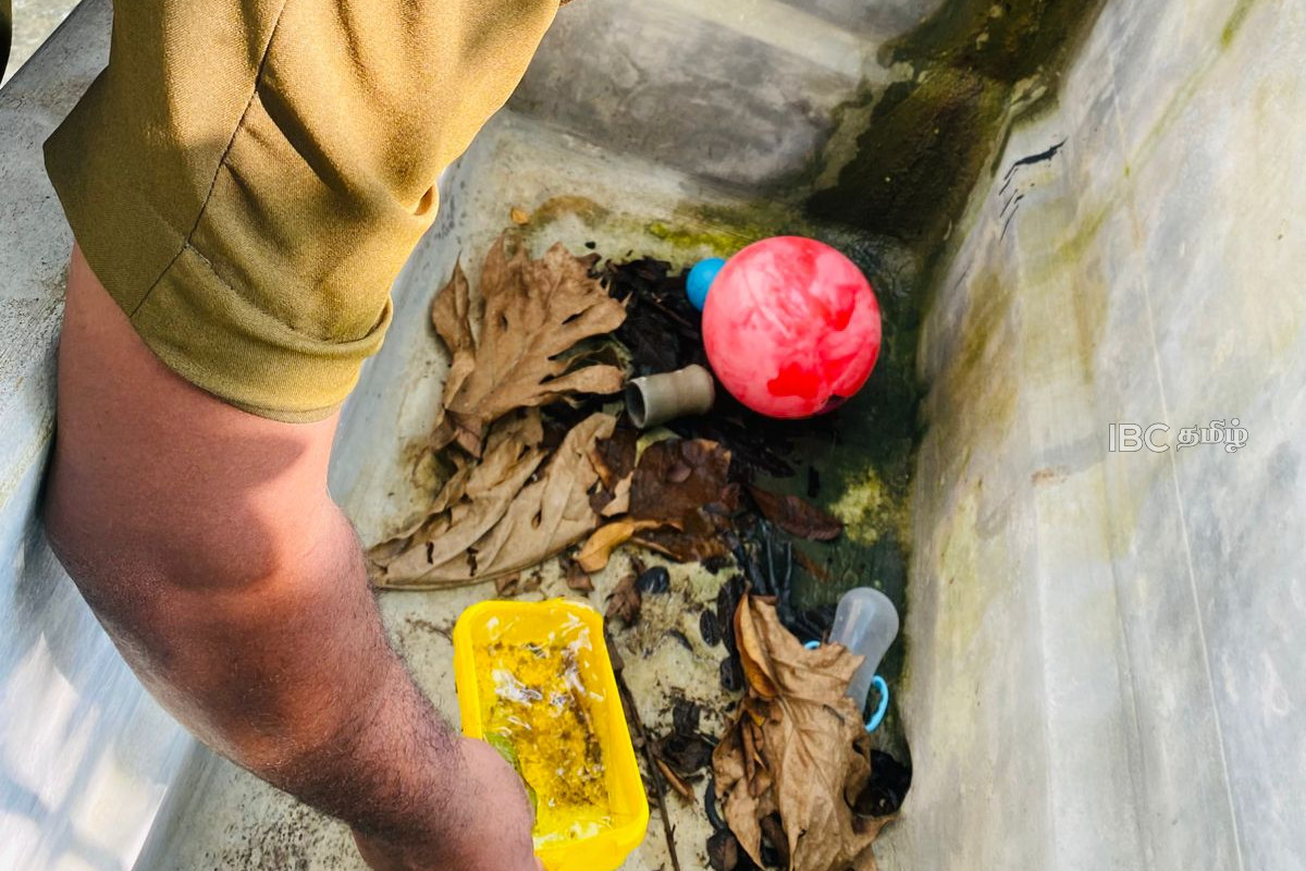 நாட்டில் சிறப்பு டெங்கு கட்டுப்பாட்டுத் திட்டம் | Special Dengue Control Program In The Country நாட்டில் சிறப்பு டெங்கு கட்டுப்பாட்டுத் திட்டம் | Special Dengue Control Program In The Country