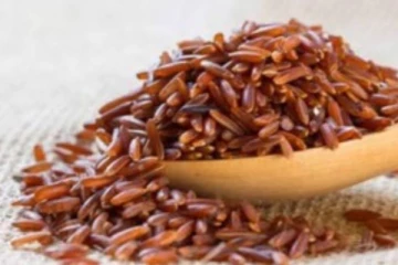தமிழர்கள் இந்த ஒரு பொருளை தான் இதயநோய் வராமல் இருக்க சாப்பிட்டார்களாம்!