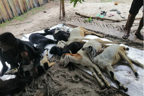 சீரற்ற காலநிலையால் யாழ் மக்களுக்கு விடுக்கப்பட்ட அறிவிப்பு! | Jaffna Weather Today