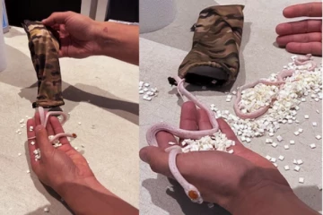 பேன்ட் பைக்குள் பாம்புகளை கடத்தி சென்ற நபர்... வைரல் புகைப்படங்கள்