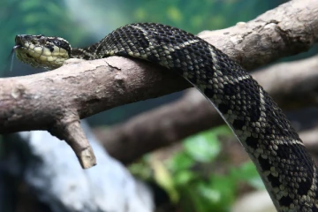 கொரோனாவுக்கு எதிரான போரில் திருப்புமுனை; ஆராய்ச்சியாளர்கள் வெளியிட்ட தகவல்