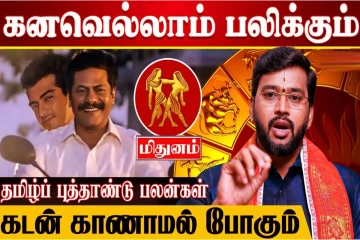 தமிழ் புத்தாண்டு ராசி பலன் மிதுனம்: கனவெல்லாம் பலிக்கும்... கடன் காணாமல் போகும்