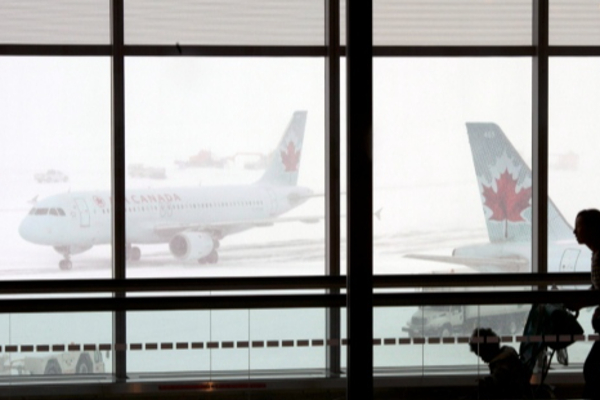 கனடாவில் விமானக் கதவை திறந்து கீழே வீழ்ந்த பயணி | Passenger On Board Plane At Pearson Airport