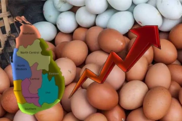 குறைக்கப்பட்ட முட்டை விலை மீண்டும் அதிகரிப்பு