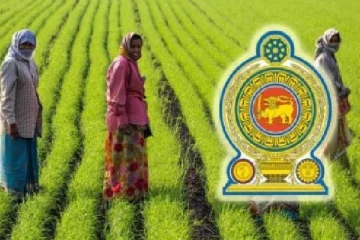 விவசாயிகளின் பிரச்சினைகள் தொடர்பில் விசேட அவதானம்