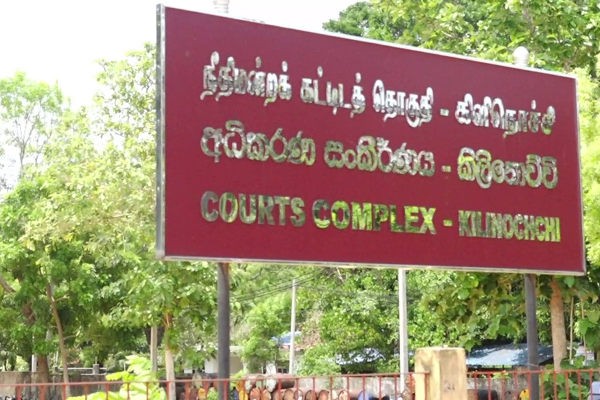 தமிழர் பகுதியில் விசித்திர வழக்கு; வளர்ப்பு நாய்க்கு மரபணு சோதனை! | Two Claimants To Domesticated Dogs Genetic Testing