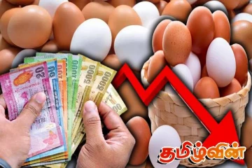 சடுதியாக வீழ்ச்சியடைந்த முட்டை விலை!