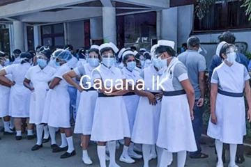 විශේෂ හේතුවක් නිසා අද රෝහල් රැසක වර්ජනයක්..