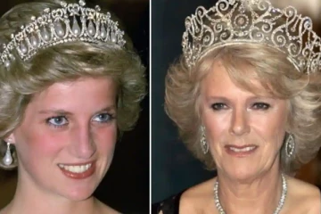 இளவரசி டயானா கமிலாவால் தான் இறந்தார்! அனுபவித்த துன்புறுத்தல்... கமிலாவின் மருமகன் வேதனை