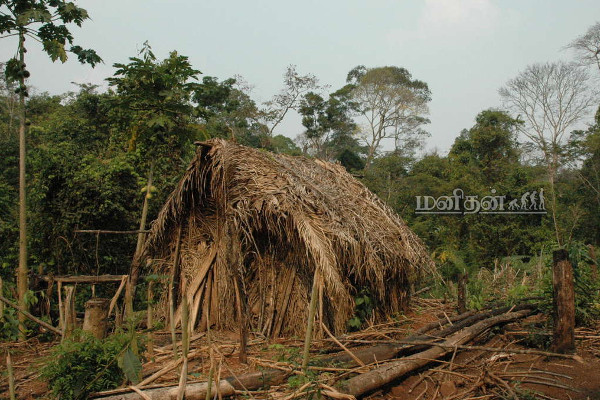 26 வருடமாக தனிமையில் வாழ்ந்த பழங்குடி இனத்தின் கடைசி மனிதன்! பிணமாக மீட்கப்பட்ட அவலம் | Man Of The Hole Last Known Member Of Uncontacted