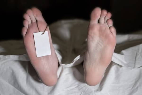 யாழில் முதியவருக்கு நேர்ந்த சோகம் | Tragedy Befell An Old Man In Jaffna