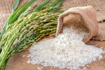 அரிசி இறக்குமதிக்கான கால அவகாசம் நிறைவு