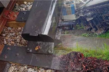 කැලණිය සහ වනවාසල අතර සිදු වූ දුම්රිය අනතුර ගැන තොරතුරු රැසක් එළියට