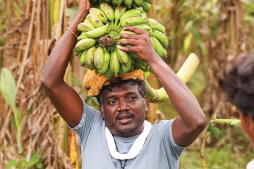 ப்ளாக் பஸ்டர் வெற்றியடைந்துள்ள வாழை படத்தின் 10 நாட்கள் வசூல்.. எவ்வளவு தெரியுமா