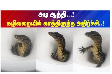 அடி ஆத்தி... கழிவறையில் காத்திருந்த அதிர்ச்சி