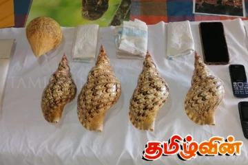 நான்கு வலம்புரிச் சங்குடன் மூவர் கைது