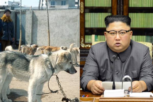 Kim Jong Un