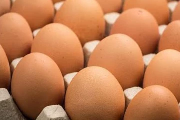 බිත්තර ව්‍යාපාරික සංගමයෙන් චෝදනාවක් එල්ල කරයි..