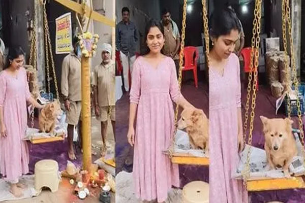 பெண் தெய்வத்தை அவமதித்தாரா? நடிகை வழங்கிய காணிக்கையால் சர்ச்சை | Actress Apologises After Weighing Pet Dog