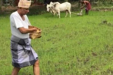 புர்வீக வயல் காணியில் நெல் விதைப்பினை ஆரம்பித்த சுமந்திரன்!