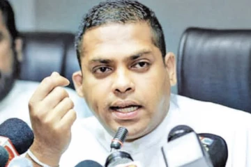 மனு தாக்கல் செய்தார் ஹரின் பெர்ணான்டோ