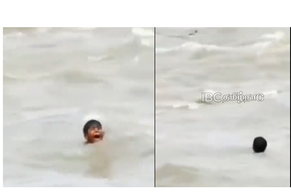 Chambal river - viral video