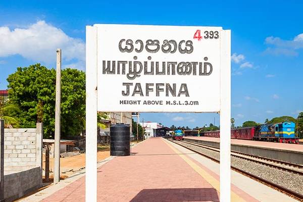 திருமண தரகுப்பணம் கொடுக்காததால் ஏற்பட்ட விபரீதம்: ஒருவர் பலி | Matchmaker Dies In Jaffna Over Unpaid Commission