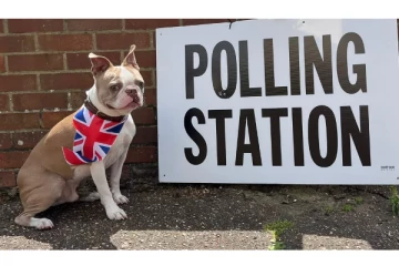 பிரித்தானிய வாக்குச்சாவடிகளுக்கு வெளியே காணப்பட்ட மலைப்பாம்பு, செல்லப்பிராணிகள்...