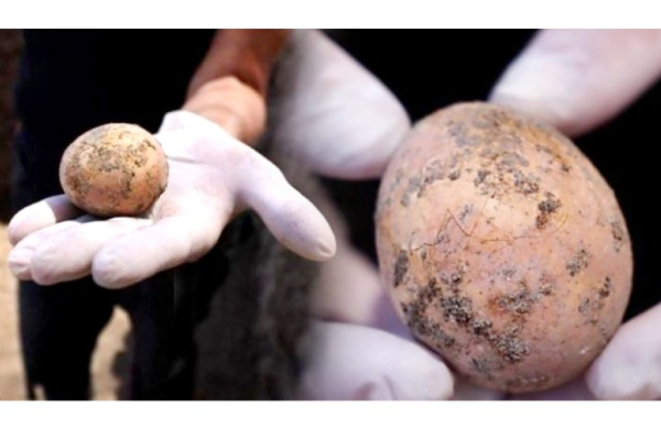 1000 ஆண்டுகள் பழமையான கோழி முட்டை கண்டெடுப்பு! | World India