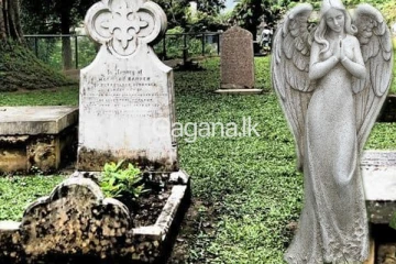 වටිනාකමින් ඉහළ පිලිමයක් සොහොන් කොතෙන් අතුරුදන්.