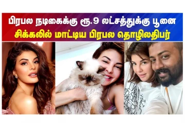 பிரபல நடிகைக்கு ரூ.9 லட்சத்துக்கு பூனை - சிக்கலில் மாட்டிய பிரபல தொழிலதிபர்