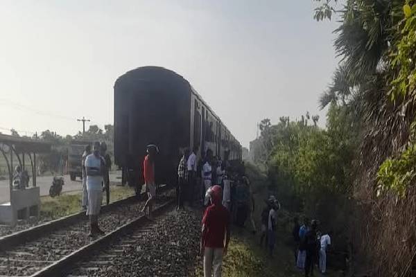 யாழில் ரயில் மோதி மாடு உயிரிழப்பு! | Cow Dies After Being Hit By Train In Jaffna