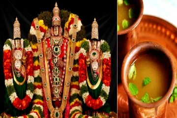 துளசி செடியை பெருமாளுக்கு மட்டும் தான் சாத்தலாமா? அப்போ இந்த டிப்ஸ் உங்களுக்காக தான்