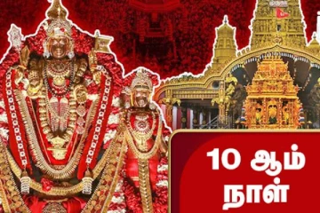 அழகிய மஞ்சத்தில் முத்துக்குமார சுவாமியாக எழுந்தருளி அருள் பாலித்த நல்லூர் கந்தன் (Live)