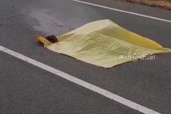வவுனியா - திருகோணமலை வீதியில் முதியவர் சடலமாக மீட்பு | Old Man Found Dead On Vavuniya Trincomalee Road