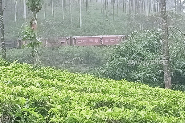 மலையக தொடருந்து சேவைகள் பாதிப்பு | Intercity Rail Services Affected