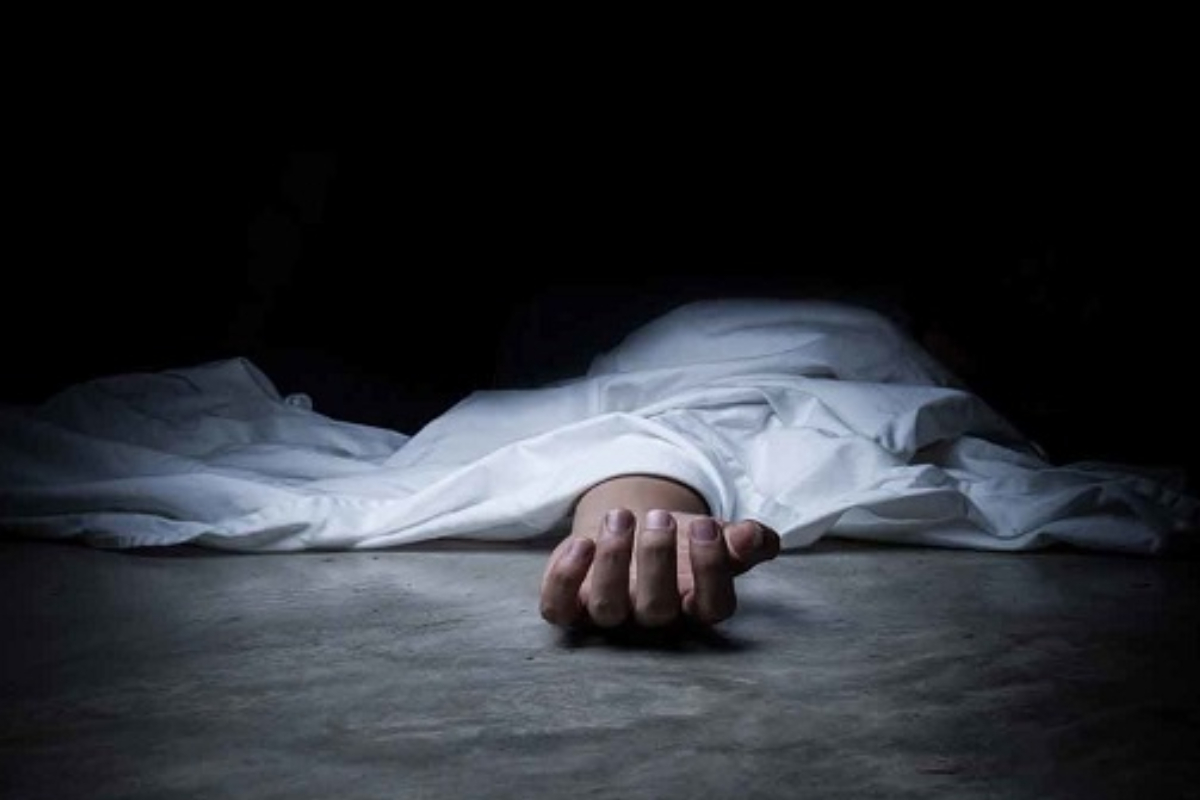 யாழில் குளவிக் கொட்டுக்கு இலக்கான முதியவர் பலி! | Elderly Man Dies After Being Stung By A Wasp யாழில் குளவிக் கொட்டுக்கு இலக்கான முதியவர் பலி! | Elderly Man Dies After Being Stung By A Wasp