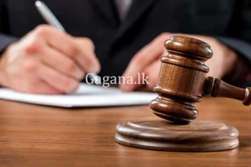 දළ ඇතා ඝාතනයේ සැකකරුට අධිකරණයෙන් නියෝග.