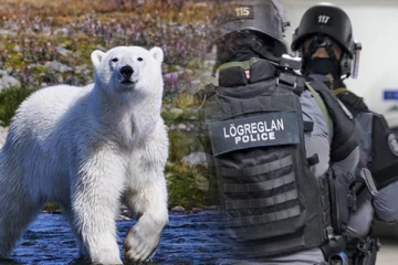 ஐஸ்லாந்தில் 8 ஆண்டுகளுக்குப் பிறகு தென்பட்ட துருவக் கரடியை சுட்டுக் கொன்ற பொலிஸார்