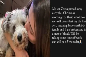 என் மகன் இறந்துவிட்டான்... நடிகை த்ரிஷாவின் பதிவால் ரசிகர்கள் வருத்தம்