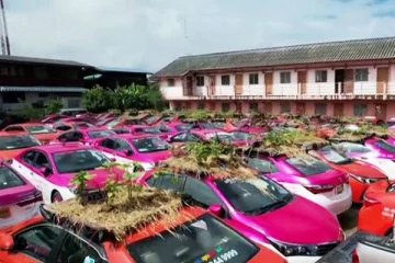 தாய்லாந்தில் காய்கறி தோட்டமாக மாறிய டாக்சிகள்