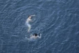 பிரான்சில் நீரில் மூழ்கி மரணமடைந்தவர்களின் எண்ணிக்கையில் திடீர் அதிகரிப்பு