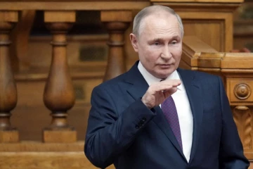 தெரு நாய்களைப் பிடிக்க திட்டமிடும் ரஷ்யா: நாடாளுமன்ற உறுப்பினர் ஒருவர் தெரிவித்துள்ள யோசனை