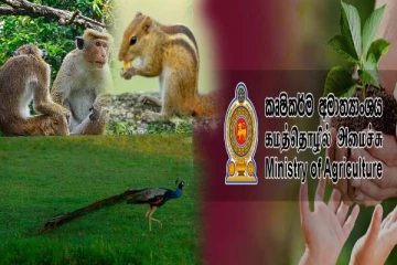 இலங்கையில் 5 நிமிடங்களில் விலங்குகளை கணக்கெடுக்க திட்டம் ; மக்களின் ஆதரவை கோரிய விவசாய அமைச்சகம்