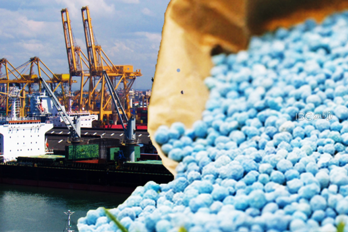 விவசாயிகளுக்கான உர விநியோகம் - அரச தரப்பு வெளியிட்ட அறிவிப்பு | Good News For Farmers Low Cost Bundy Fertilizer