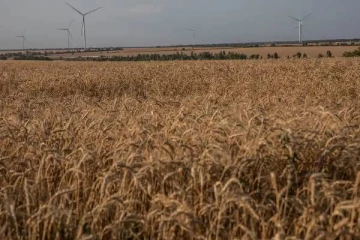 தானியங்கள் ஏற்றுமதிக்கு உக்ரைன் முன்னெடுத்த அவசர முடிவு: பாராட்டும் உலக நாடுகள்